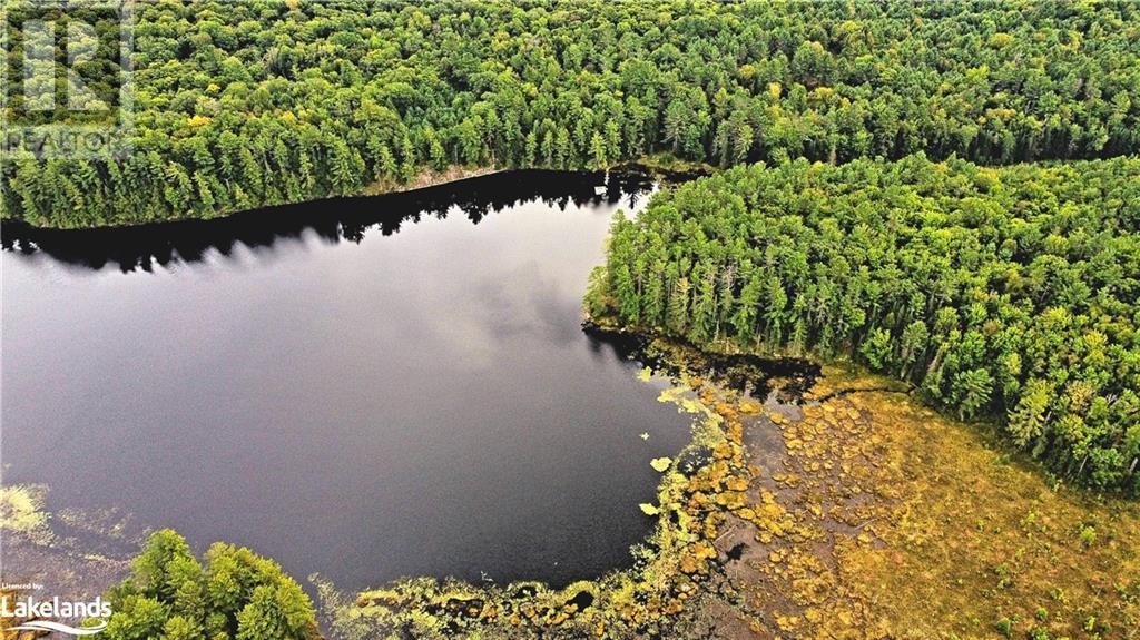 Lot 9 Concession 5, Lake Of Bays (Mclean), Ontario  P0B 1A0 - Photo 14 - X10895017