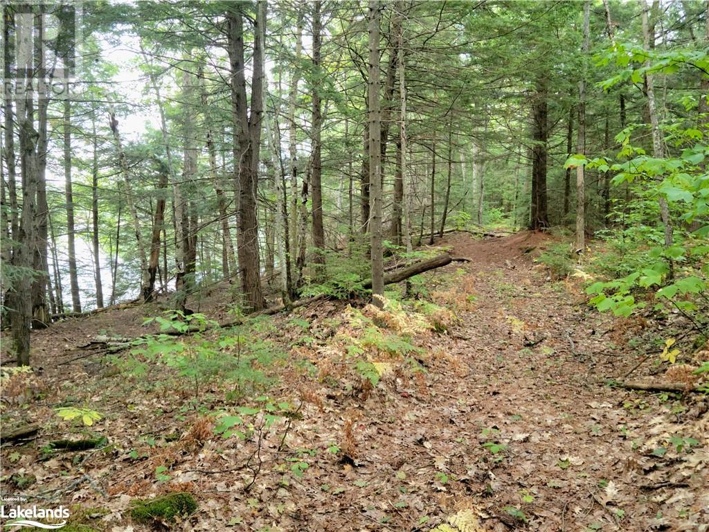 Lot 9 Concession 5, Lake Of Bays (Mclean), Ontario  P0B 1A0 - Photo 15 - X10895017