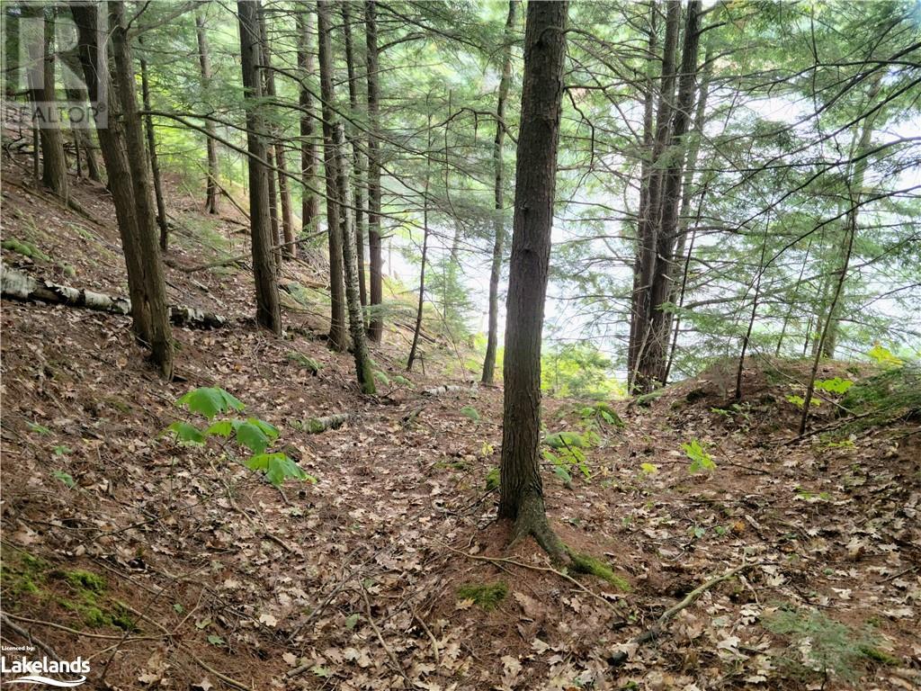 Lot 9 Concession 5, Lake Of Bays (Mclean), Ontario  P0B 1A0 - Photo 16 - X10895017
