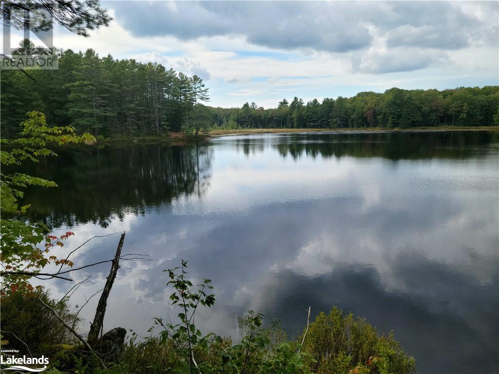 Lot 9 Concession 5, Lake Of Bays (Mclean), Ontario  P0B 1A0 - Photo 17 - X10895017