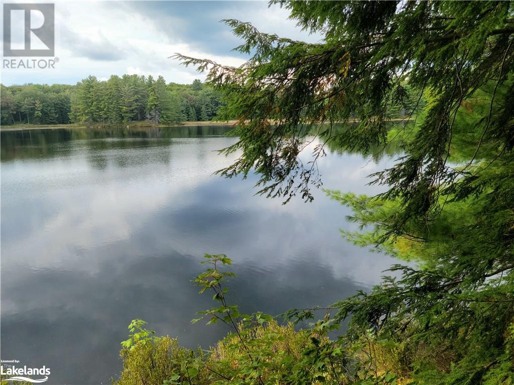 Lot 9 Concession 5, Lake Of Bays (Mclean), Ontario  P0B 1A0 - Photo 18 - X10895017
