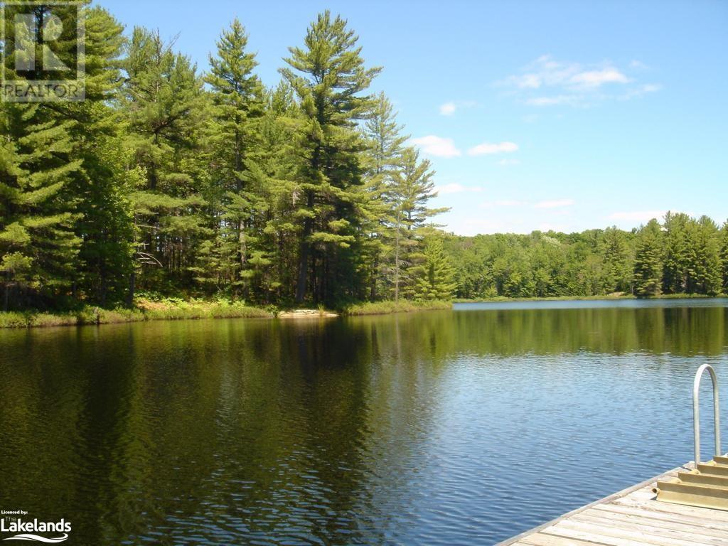 Lot 9 Concession 5, Lake Of Bays (Mclean), Ontario  P0B 1A0 - Photo 19 - X10895017