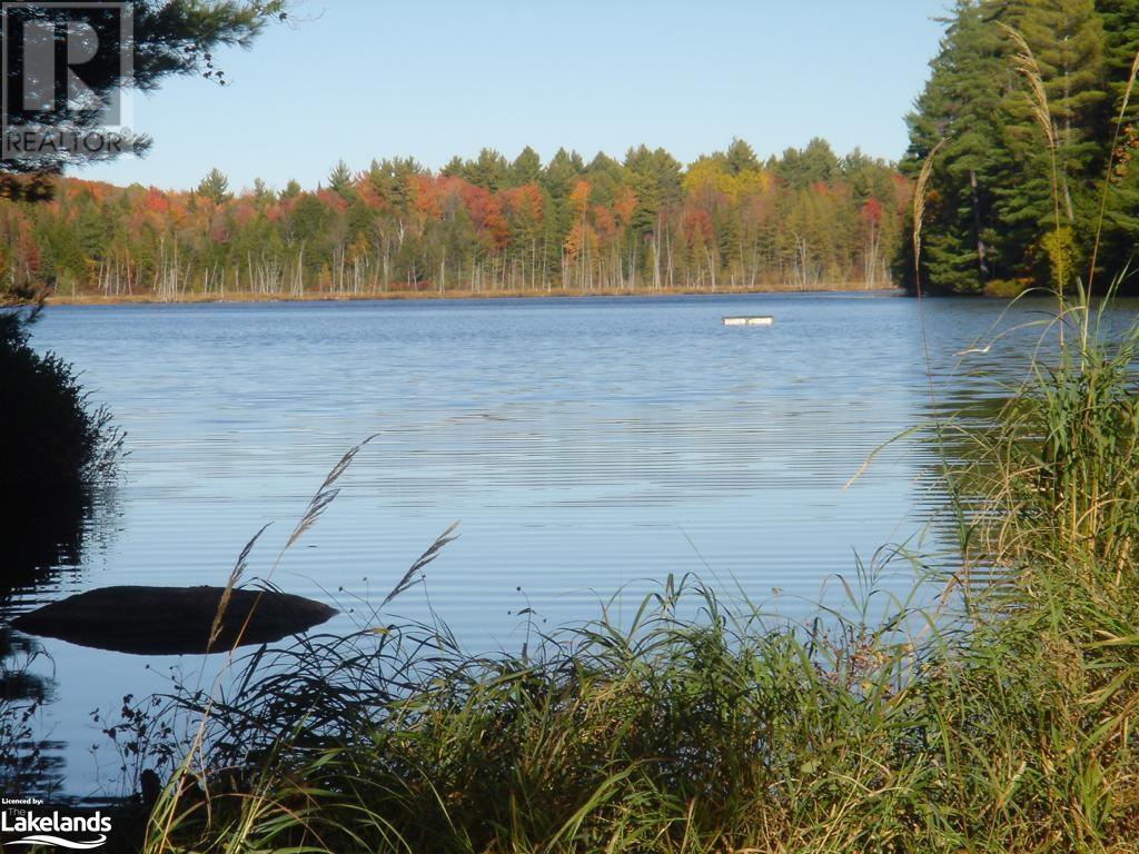 Lot 9 Concession 5, Lake Of Bays (Mclean), Ontario  P0B 1A0 - Photo 20 - X10895017