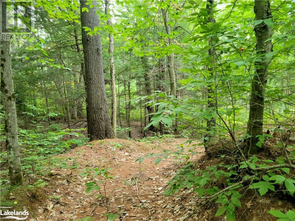 Lot 9 Concession 5, Lake Of Bays (Mclean), Ontario  P0B 1A0 - Photo 22 - X10895017