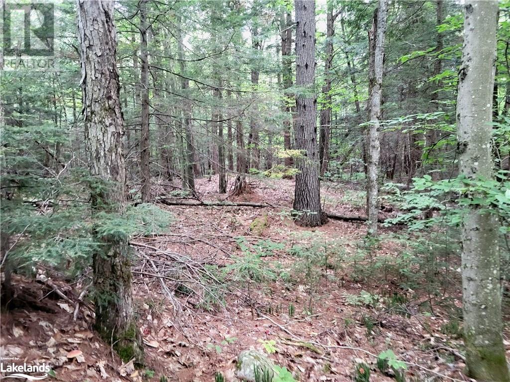 Lot 9 Concession 5, Lake Of Bays (Mclean), Ontario  P0B 1A0 - Photo 24 - X10895017