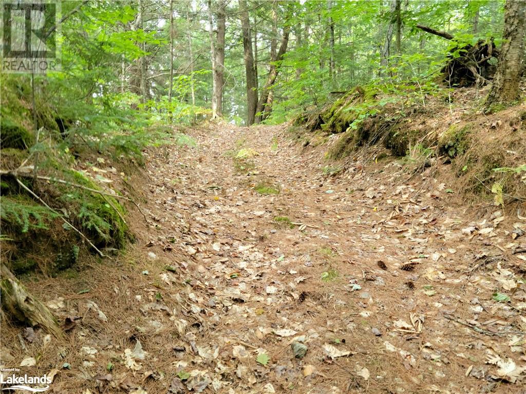 Lot 9 Concession 5, Lake Of Bays (Mclean), Ontario  P0B 1A0 - Photo 25 - X10895017