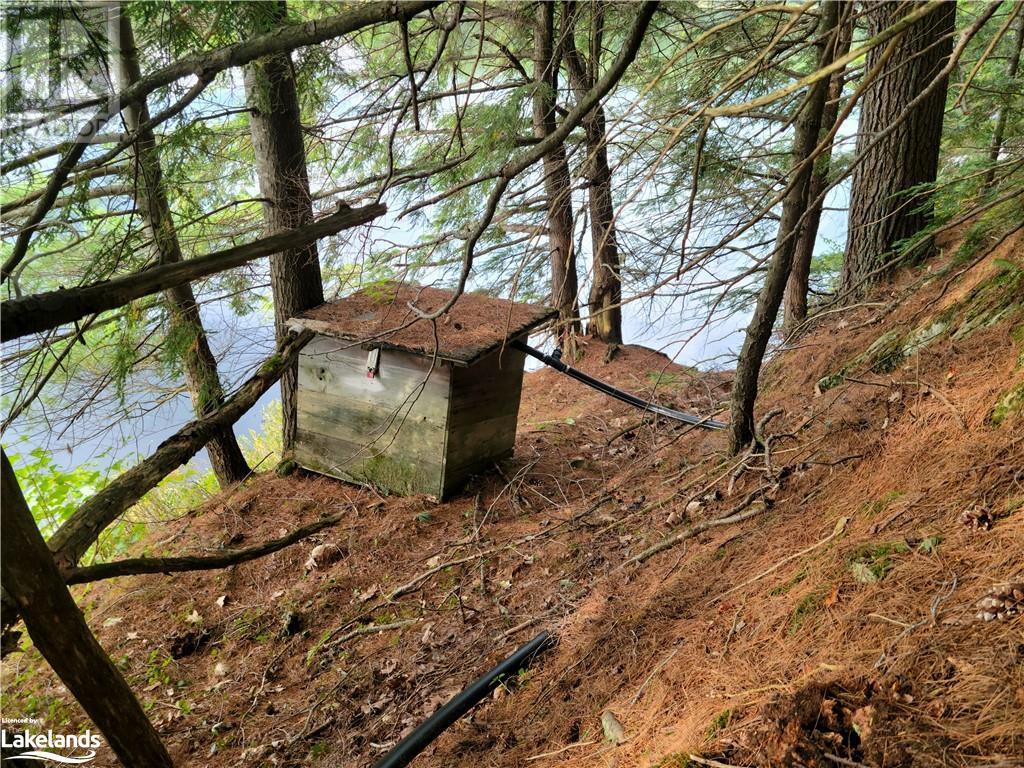 Lot 9 Concession 5, Lake Of Bays (Mclean), Ontario  P0B 1A0 - Photo 26 - X10895017