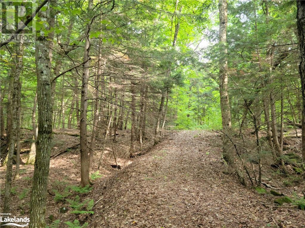 Lot 9 Concession 5, Lake Of Bays (Mclean), Ontario  P0B 1A0 - Photo 27 - X10895017