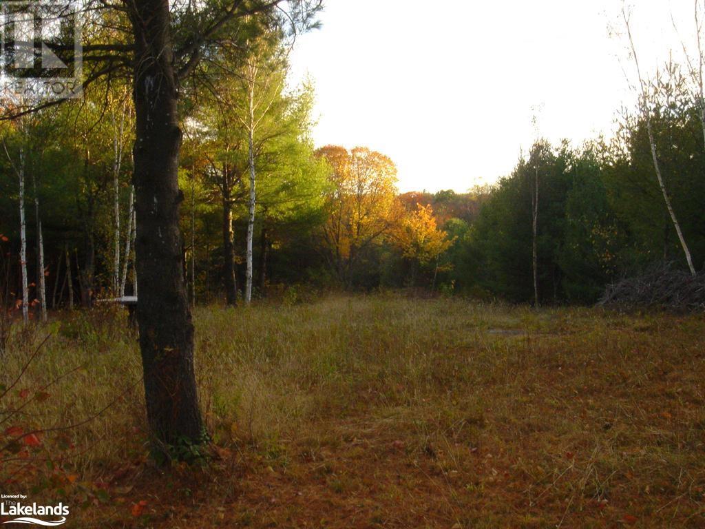 Lot 9 Concession 5, Lake Of Bays (Mclean), Ontario  P0B 1A0 - Photo 28 - X10895017