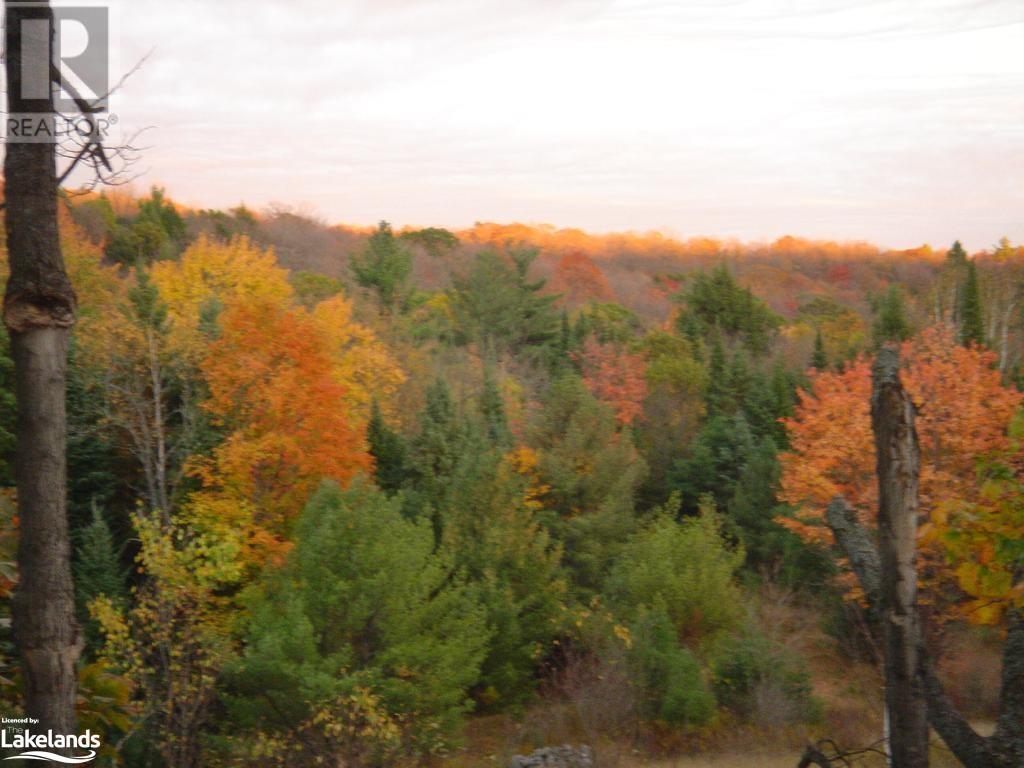Lot 9 Concession 5, Lake Of Bays (Mclean), Ontario  P0B 1A0 - Photo 30 - X10895017
