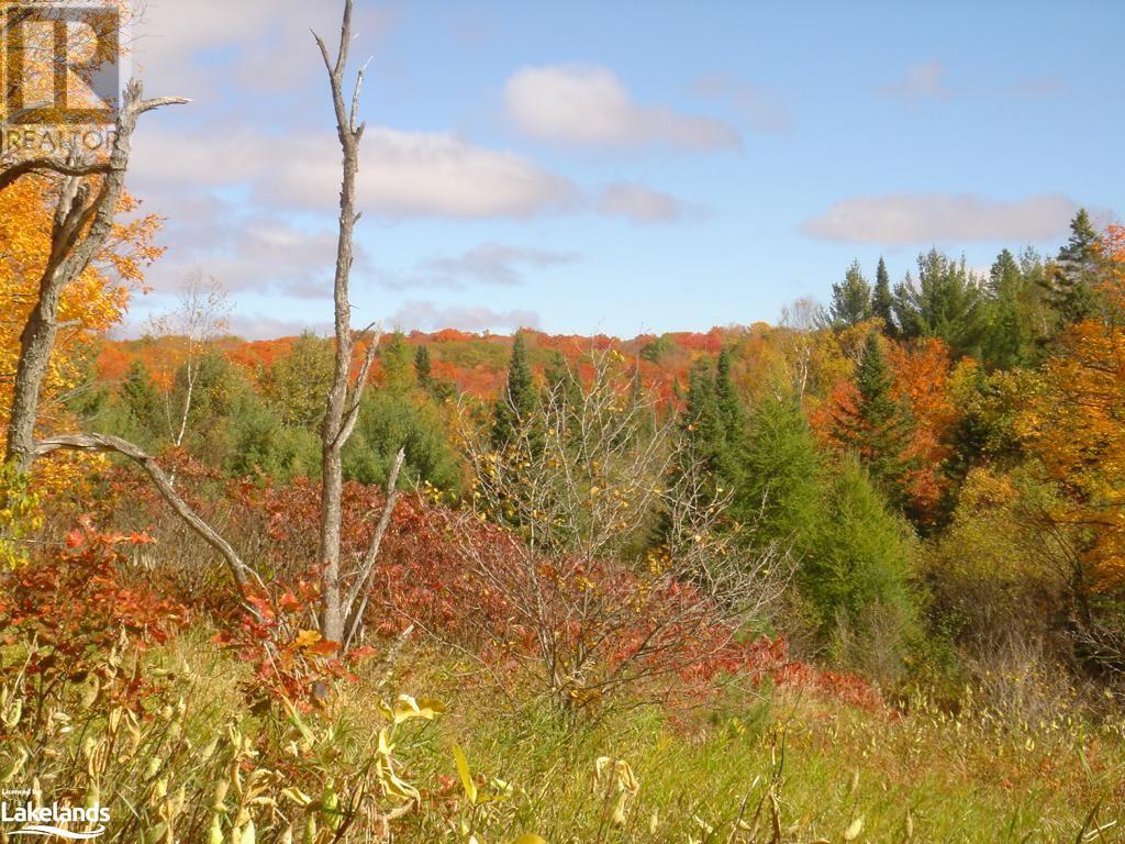 Lot 9 Concession 5, Lake Of Bays (Mclean), Ontario  P0B 1A0 - Photo 31 - X10895017