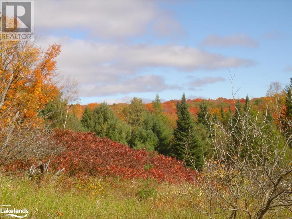 Lot 9 Concession 5, Lake Of Bays (Mclean), Ontario  P0B 1A0 - Photo 32 - X10895017