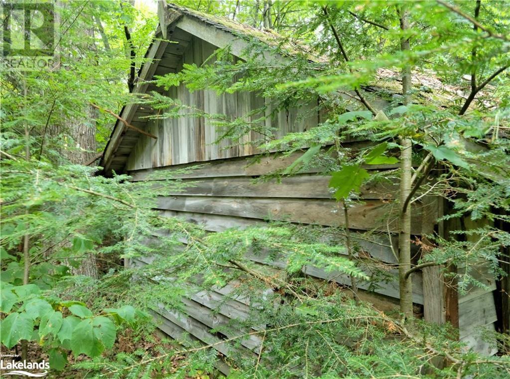 Lot 9 Concession 5, Lake Of Bays (Mclean), Ontario  P0B 1A0 - Photo 7 - X10895017