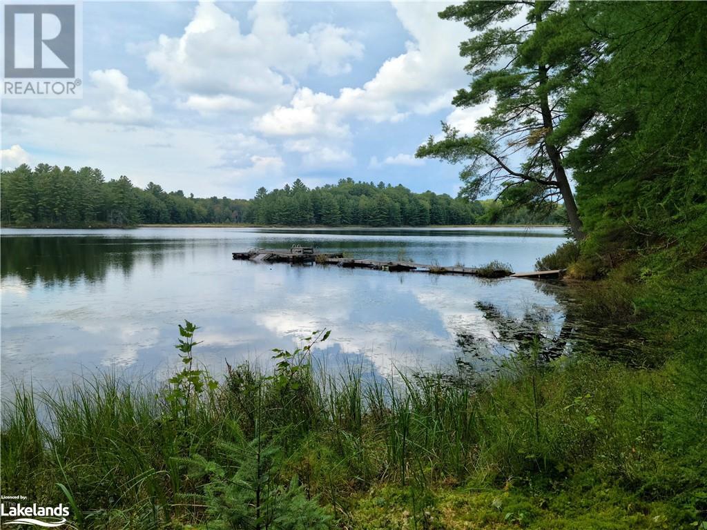 Lot 9 Concession 5, Lake Of Bays (Mclean), Ontario  P0B 1A0 - Photo 9 - X10895017