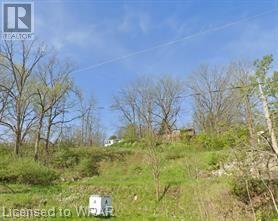 89 Dumfries Street, Paris, Ontario  N3L 2E5 - Photo 10 - 40606424