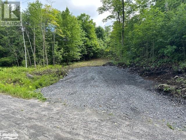 4 Mcnaughts Road, Parry Sound, Ontario  P2A 0B2 - Photo 1 - 40606469
