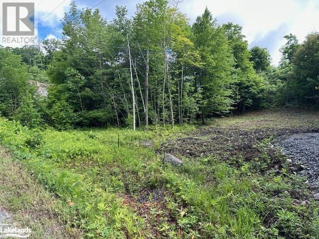 4 Mcnaughts Road, Parry Sound, Ontario  P2A 0B2 - Photo 2 - 40606469