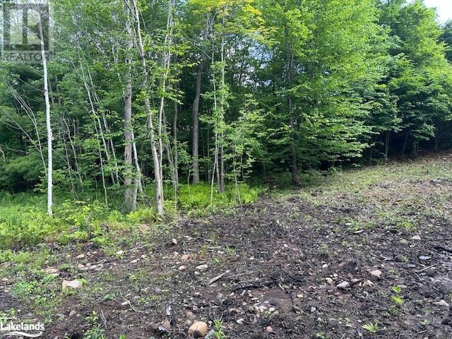 4 Mcnaughts Road, Parry Sound, Ontario  P2A 0B2 - Photo 6 - 40606469