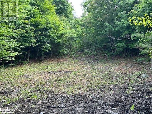 4 Mcnaughts Road, Parry Sound, Ontario  P2A 0B2 - Photo 7 - 40606469