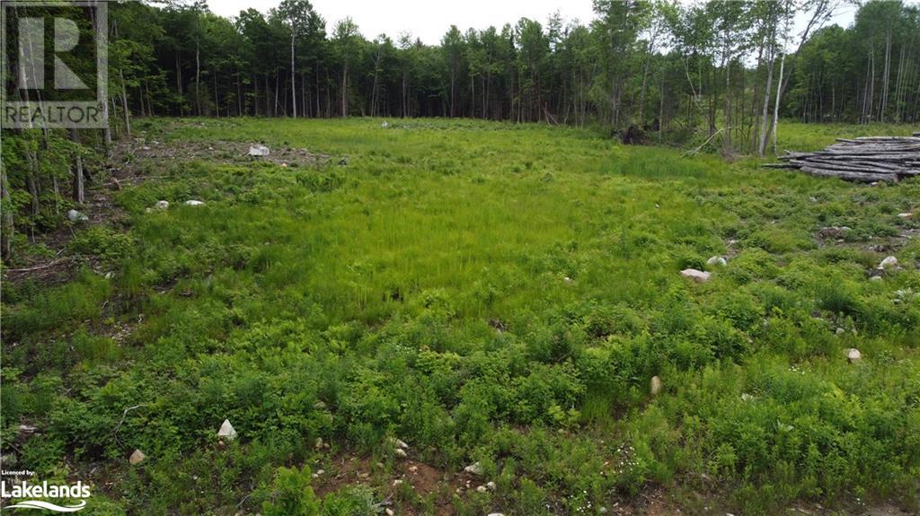0 Ritchie Drive, Carling, Ontario  P0G 1G0 - Photo 14 - 40606051