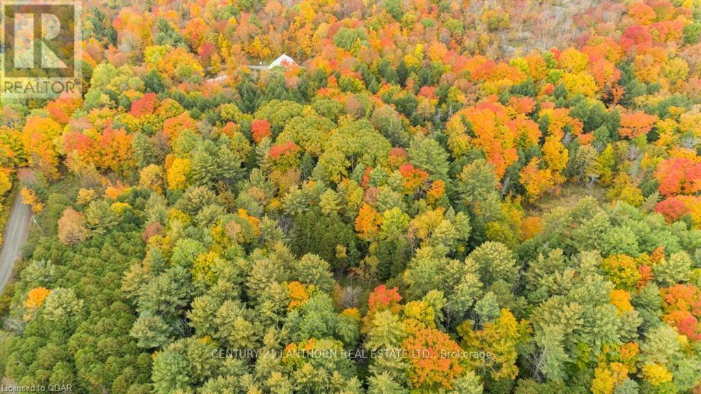 0 Scotch Settlement Road, Madoc, Ontario  K0K 2K0 - Photo 16 - X8394674