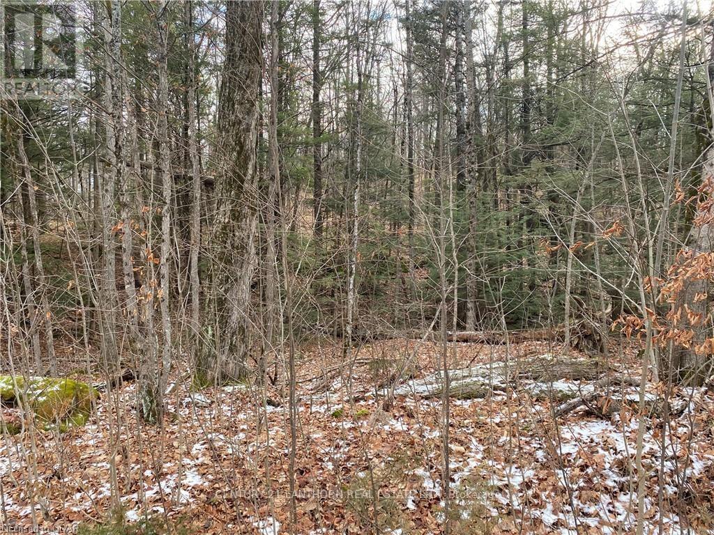 0 Scotch Settlement Road, Madoc, Ontario  K0K 2K0 - Photo 19 - X8394674