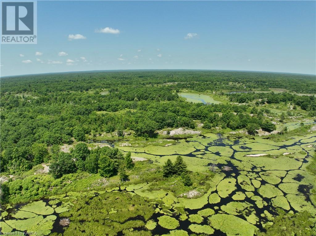 Lot 23-24 Arden Road, Tamworth, Ontario  K0K 3G0 - Photo 4 - 40606987