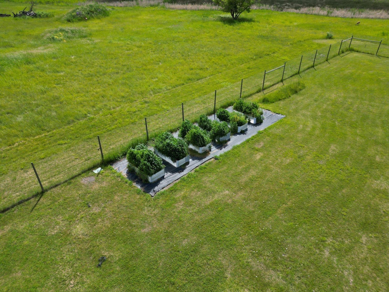 7591 17th Street, Grand Forks, British Columbia  V0H 1H2 - Photo 36 - 2477790