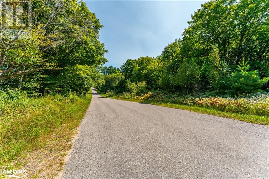 0 Bethel Road, Minden, Ontario  K0M 2K0 - Photo 5 - 40607822
