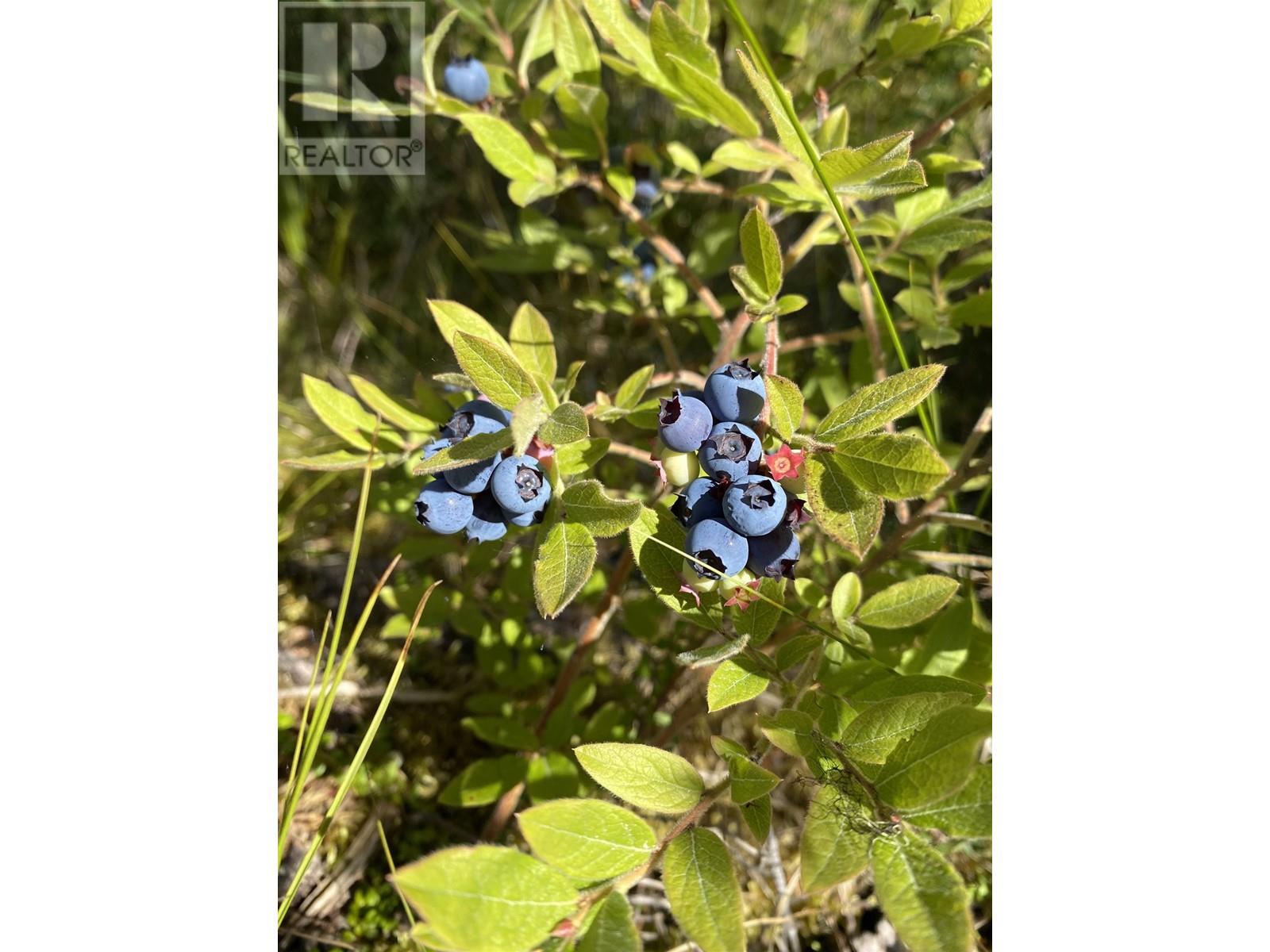 BLK A HANSARD LAKE, prince george, British Columbia V0J3C0