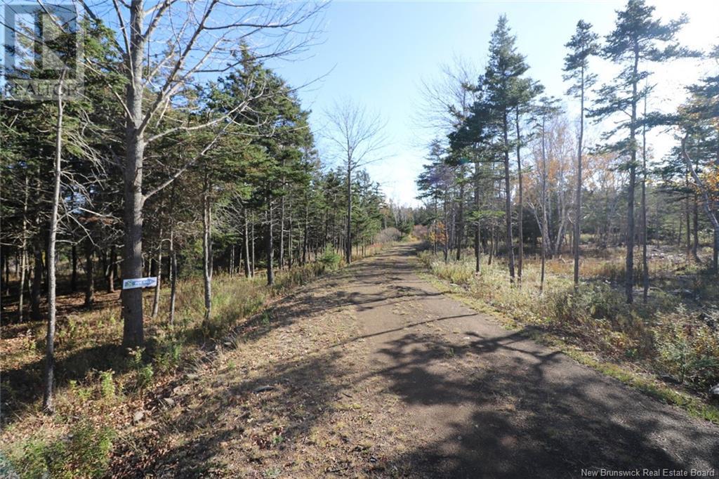 Lot 10-02 Golden Mile Drive, Grand Manan, New Brunswick  E5G 1N1 - Photo 15 - NB102064