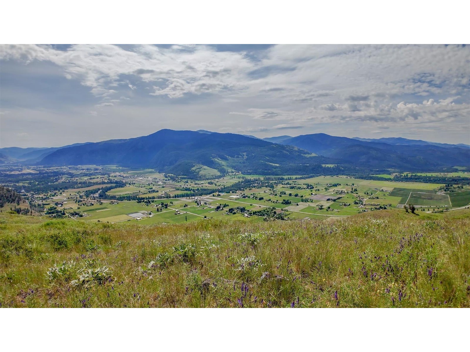 6700 DANSHIN VILLAGE ROAD, grand forks, British Columbia