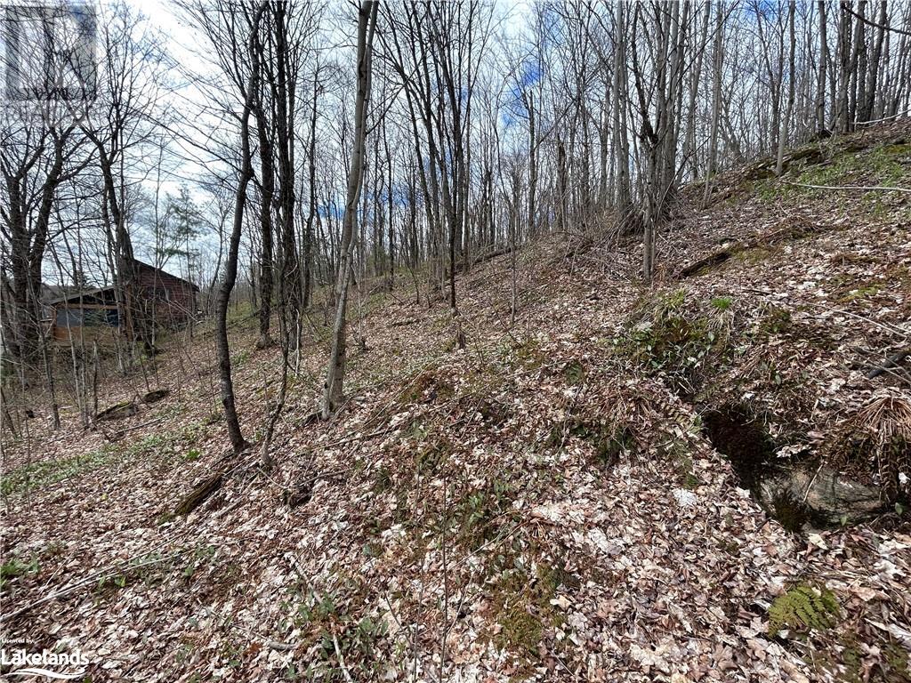 0 Brady Lake Road, Minden Hills, Ontario  K0M 2K0 - Photo 9 - 40585317