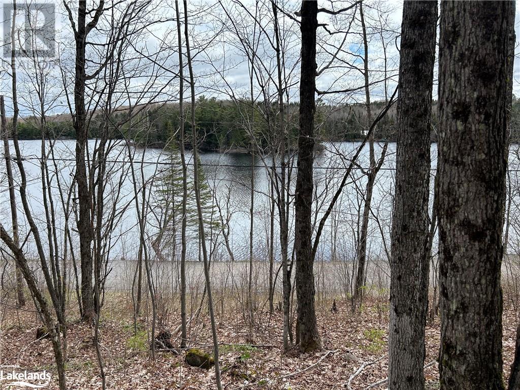 0 Brady Lake Road, Minden Hills, Ontario  K0M 2K0 - Photo 8 - 40585317