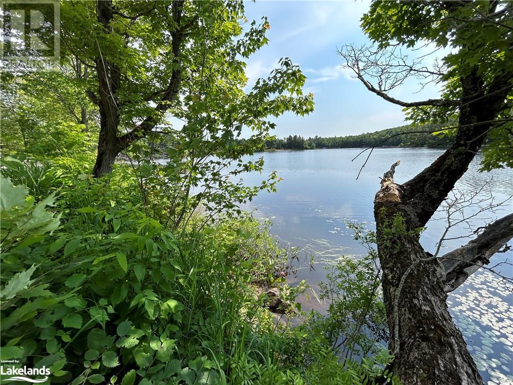 0 Brady Lake Road, Minden Hills, Ontario  K0M 2K0 - Photo 7 - 40585317