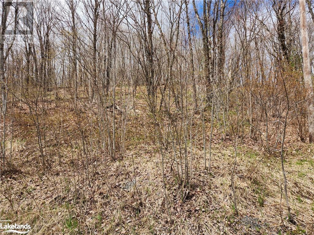 0 Brady Lake Road, Minden Hills, Ontario  K0M 2K0 - Photo 10 - 40585317