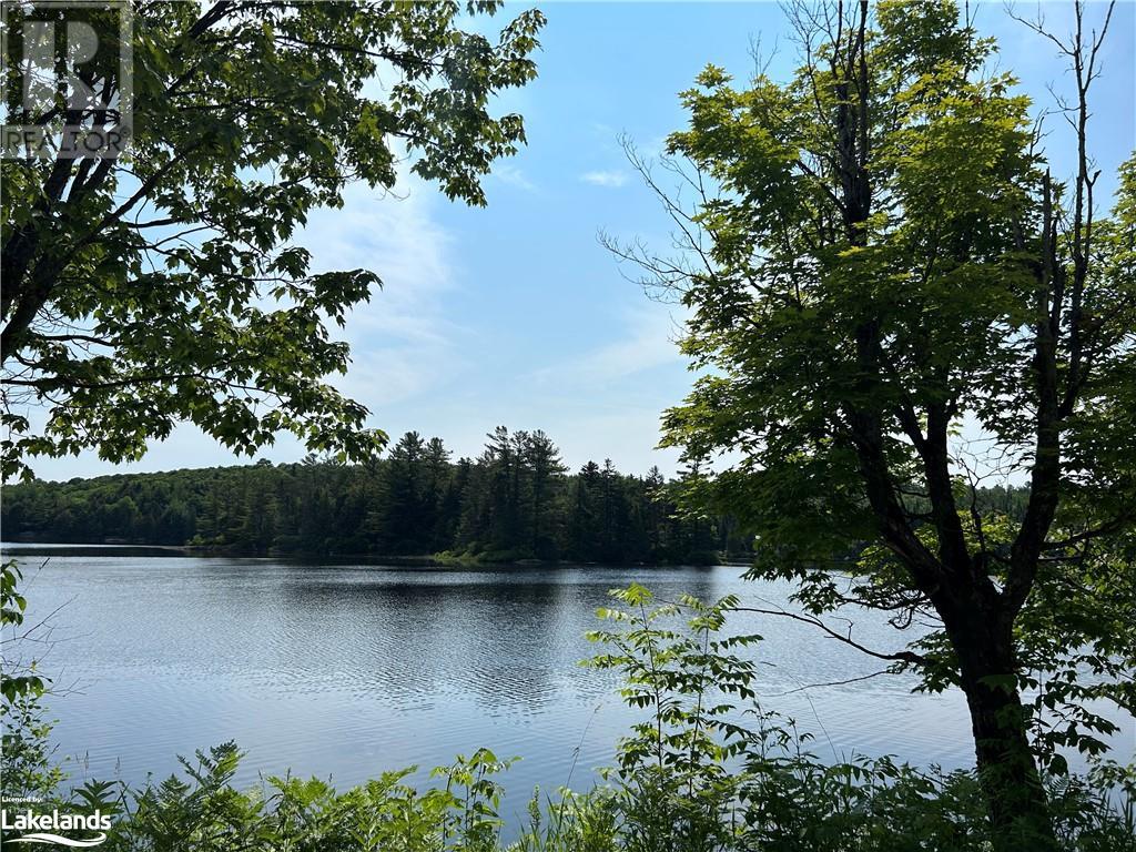 0 Brady Lake Road, Minden Hills, Ontario  K0M 2K0 - Photo 3 - 40585317