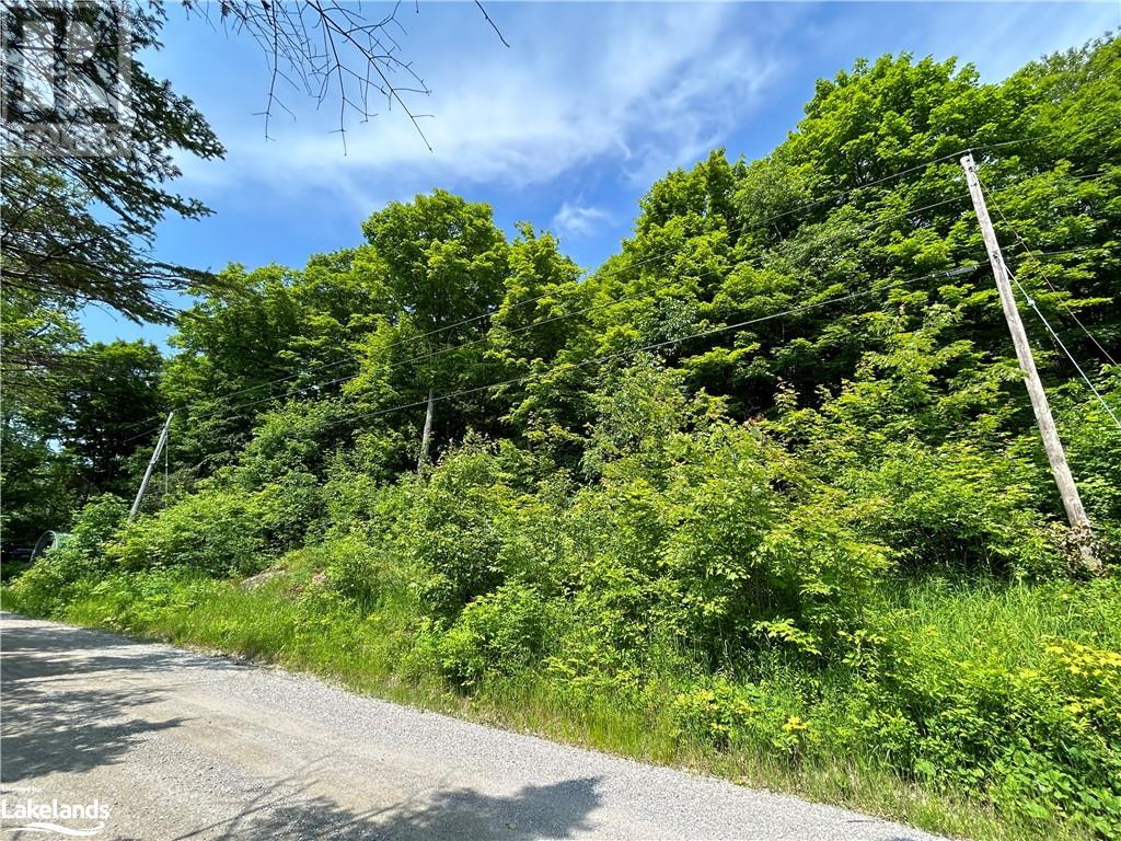0 Brady Lake Road, Minden Hills, Ontario  K0M 2K0 - Photo 2 - 40585317