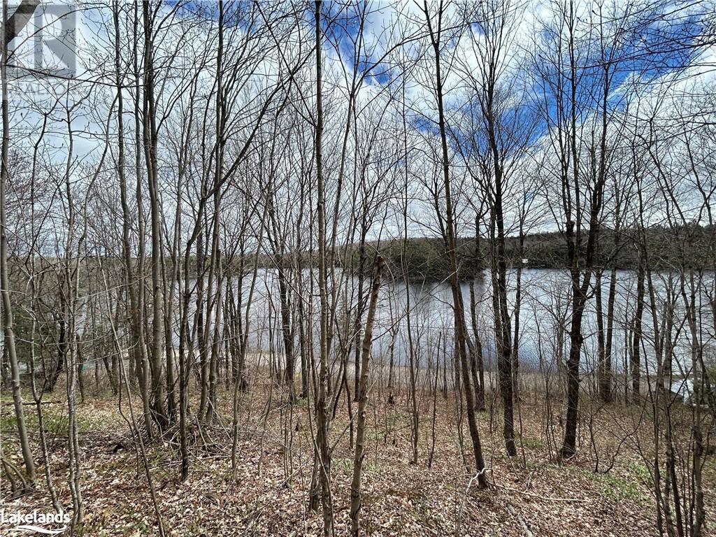 0 Brady Lake Road, Minden Hills, Ontario  K0M 2K0 - Photo 12 - 40585317