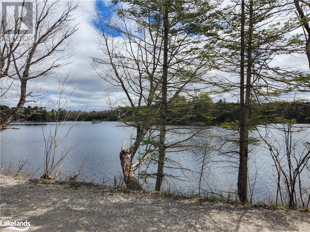 0 Brady Lake Road, Minden Hills, Ontario  K0M 2K0 - Photo 11 - 40585317