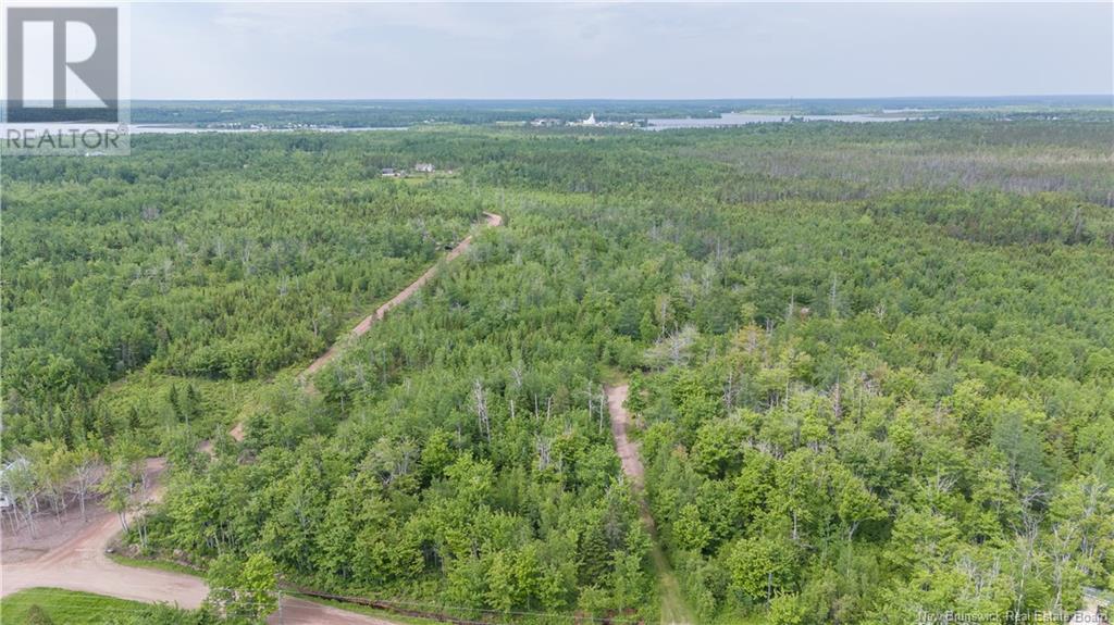 Lot 113 Route, Inkerman, New Brunswick  E8P 1E2 - Photo 2 - NB101693