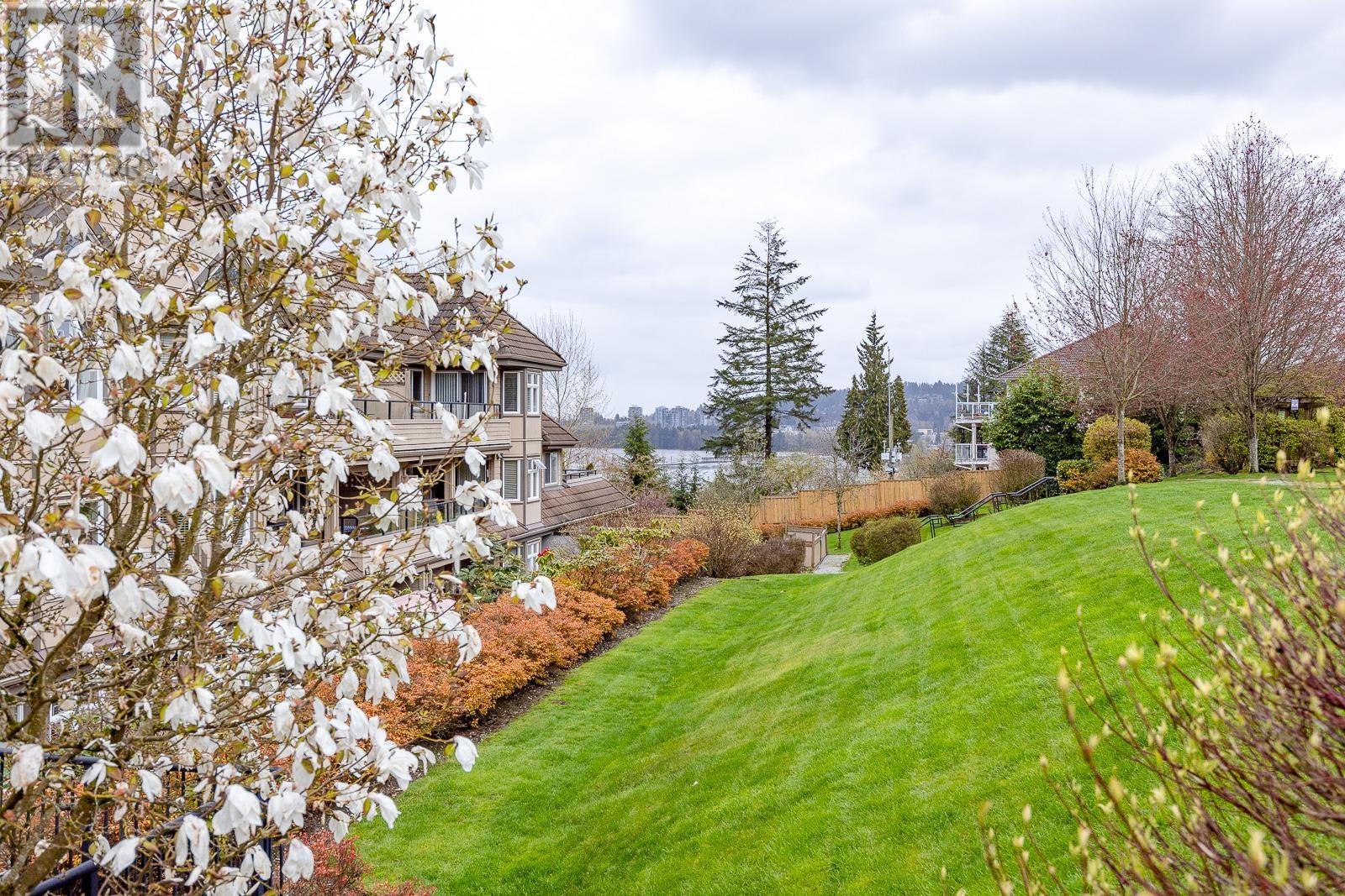 112 160 Shoreline Circle, Port Moody, British Columbia  V3H 0B2 - Photo 28 - R2896505