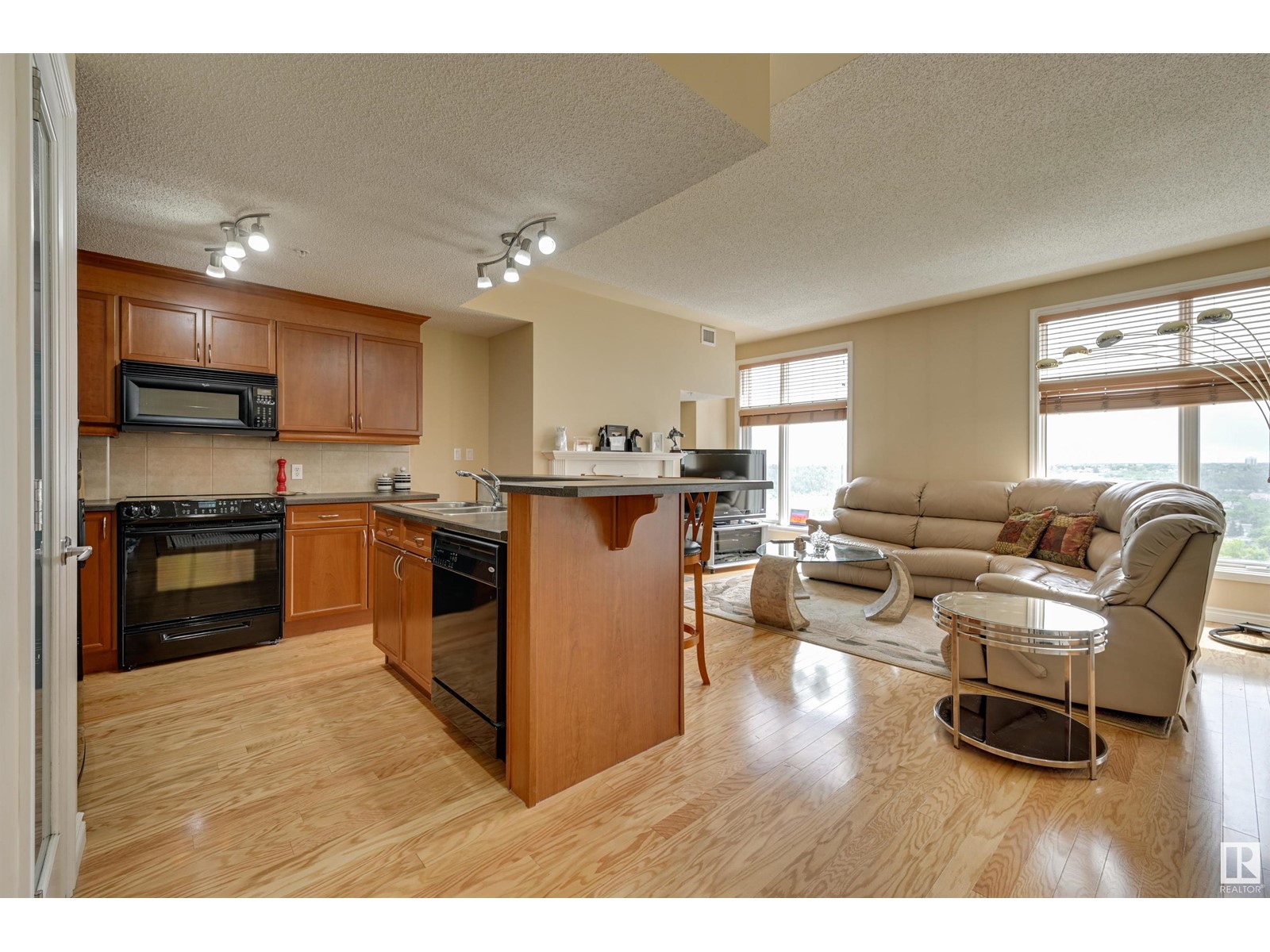 #607 9020 Jasper Av Nw, Edmonton, Alberta  T5H 3S8 - Photo 9 - E4393365