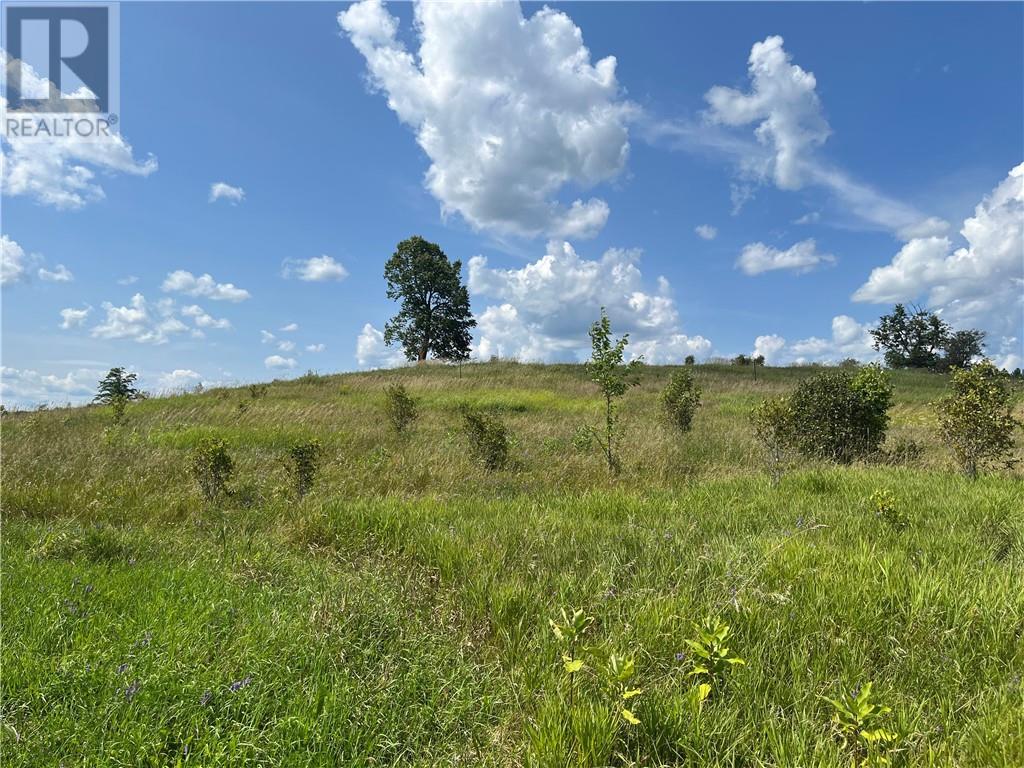 Pt Lt 10 Code Road, Pembroke, Ontario  K8A 6W4 - Photo 26 - 1398339