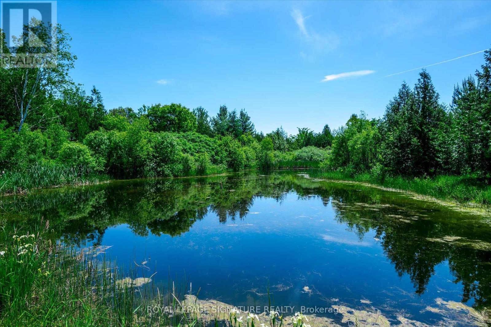 171 Fifth Line, Otonabee-South Monaghan, Ontario  K0L 2H0 - Photo 35 - X8455874