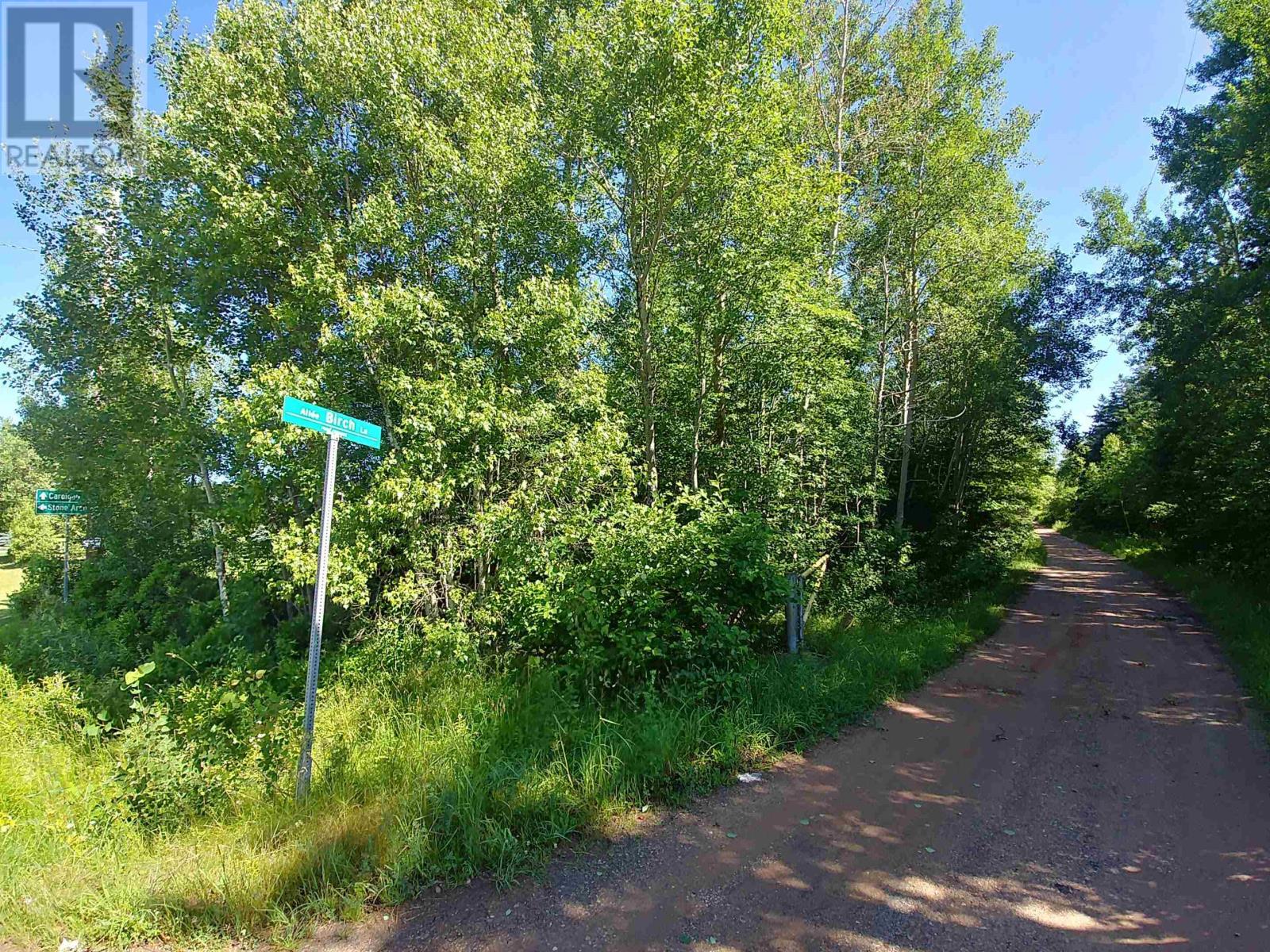 Lot 8 Birch Lane Lane, Georgetown Royalty, Prince Edward Island  C0A 1L0 - Photo 14 - 202414452