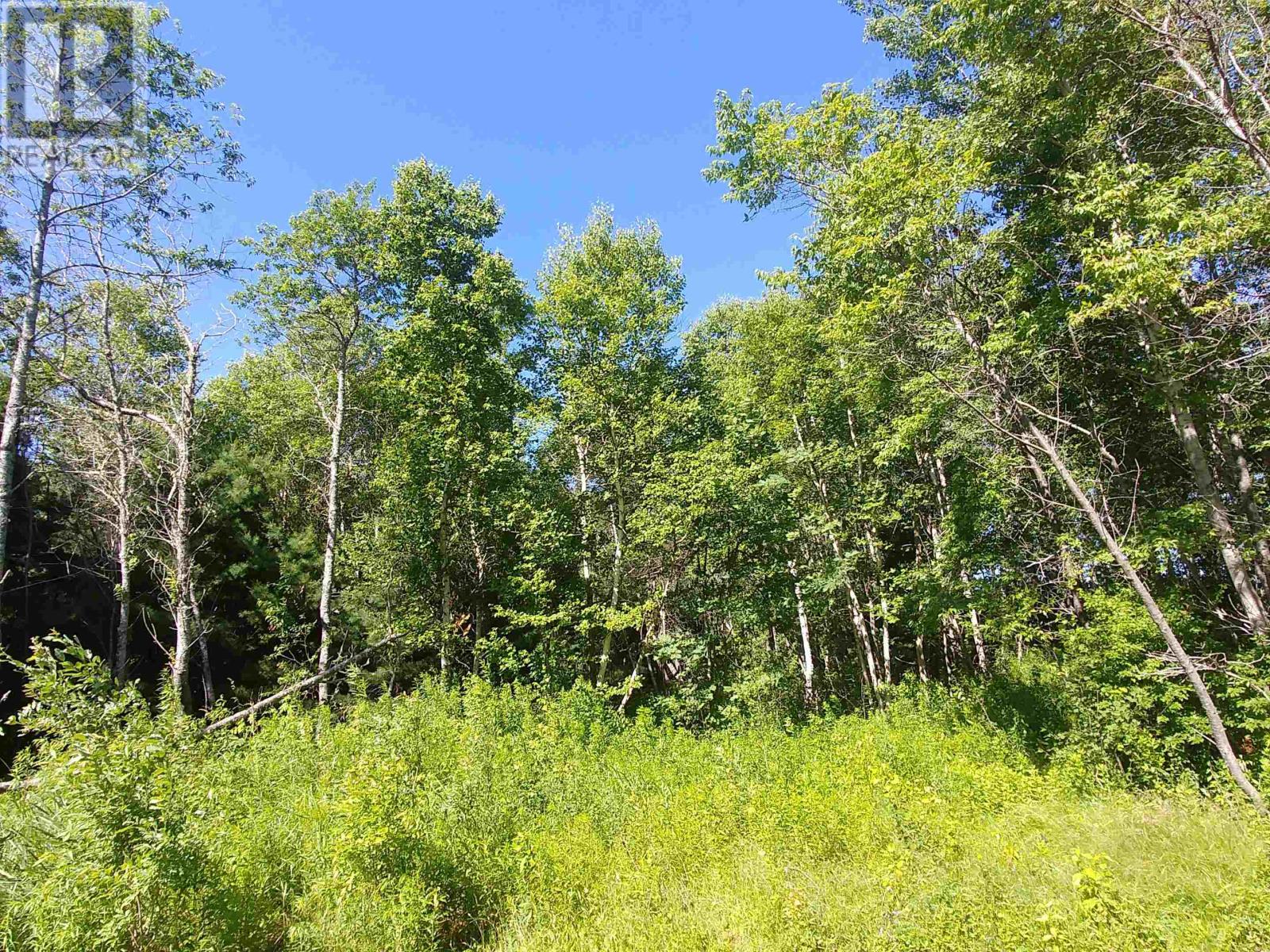 Lot 8 Birch Lane Lane, Georgetown Royalty, Prince Edward Island  C0A 1L0 - Photo 7 - 202414452