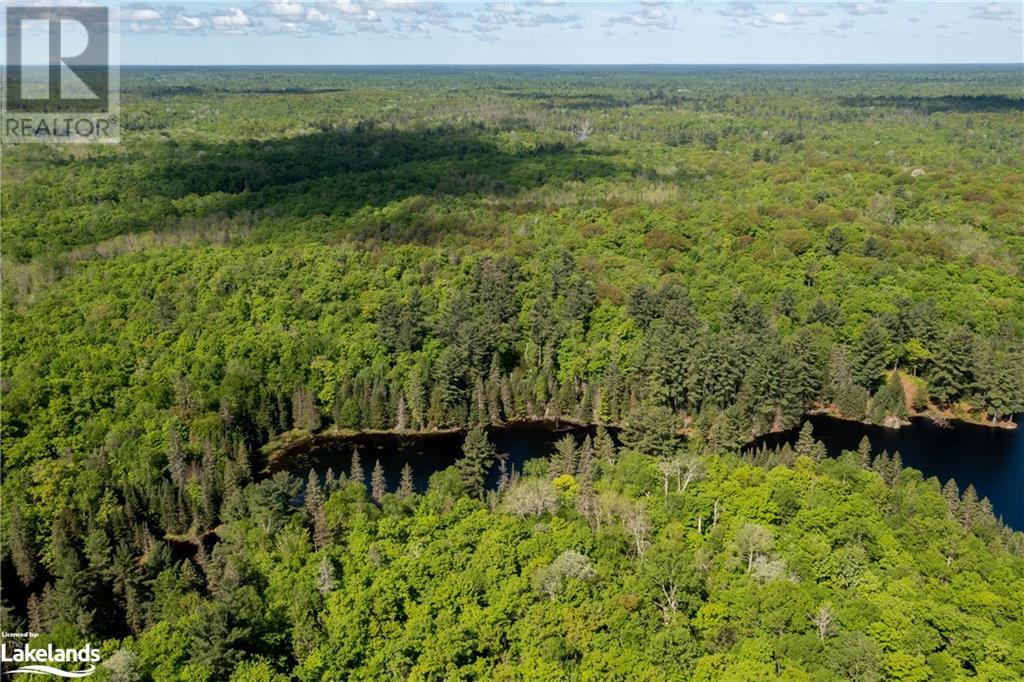 30 Joes Road, Whitestone, Ontario  P0A 1G0 - Photo 11 - 40608807