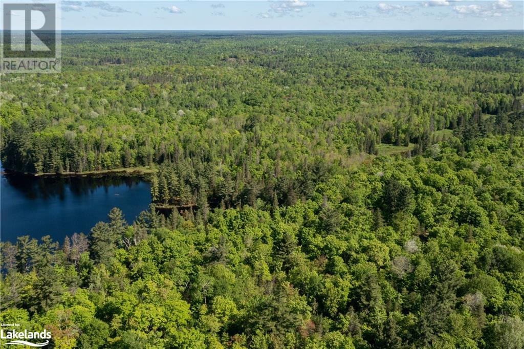 30 Joes Road, Whitestone, Ontario  P0A 1G0 - Photo 13 - 40608807