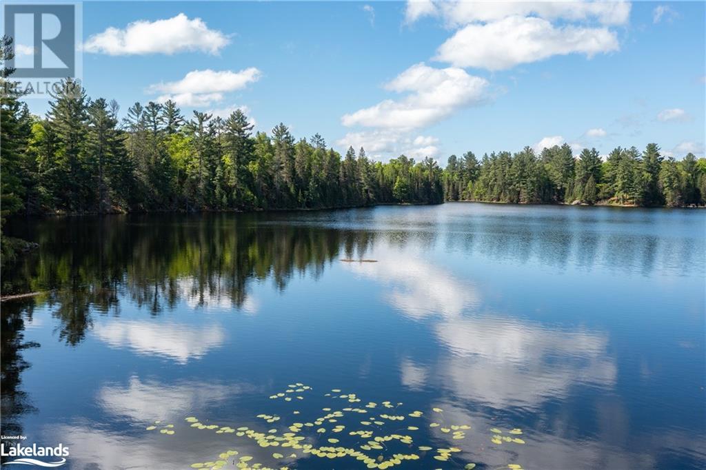 30 Joes Road, Whitestone, Ontario  P0A 1G0 - Photo 20 - 40608807